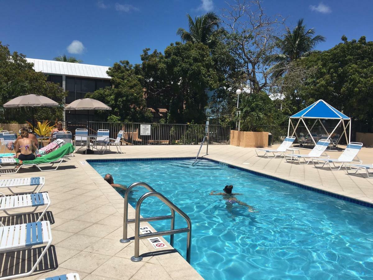 Licensed Mgr - Modern Oceanfront Condo! Beautiful Ocean Views! Beach Resort! 2 King Beds! Key Largo Dış mekan fotoğraf