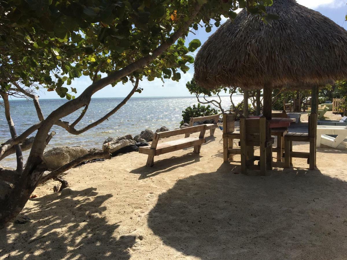 Licensed Mgr - Modern Oceanfront Condo! Beautiful Ocean Views! Beach Resort! 2 King Beds! Key Largo Dış mekan fotoğraf