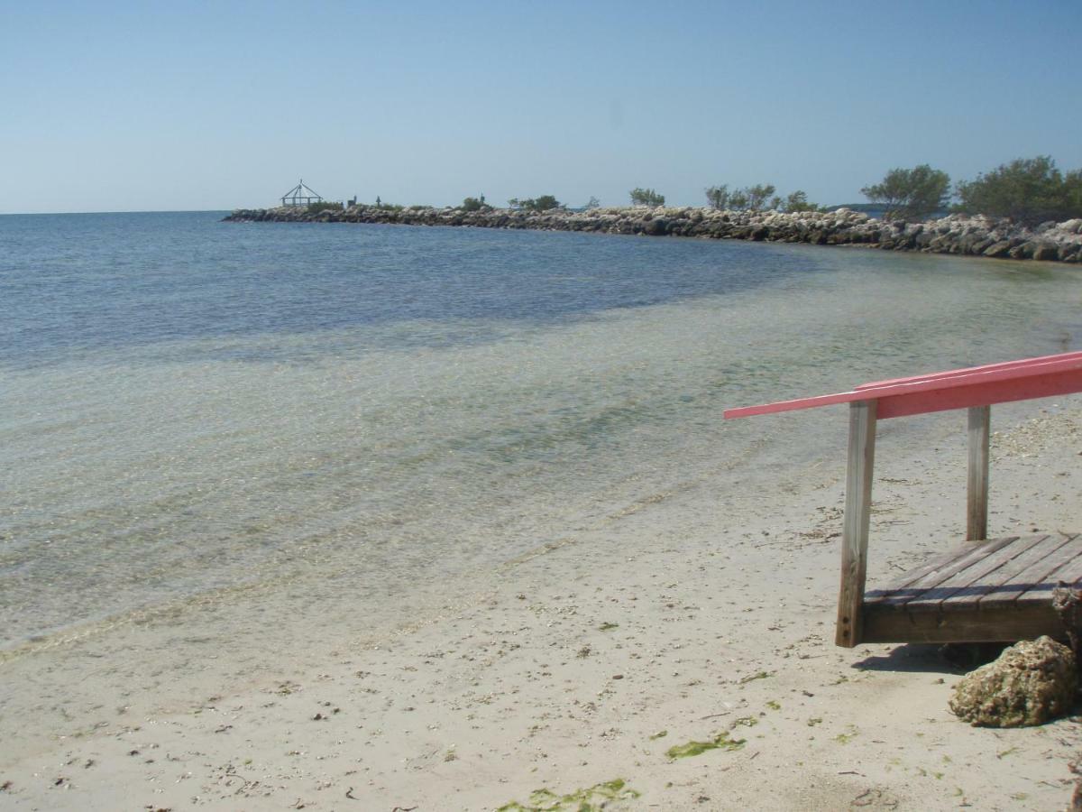 Licensed Mgr - Modern Oceanfront Condo! Beautiful Ocean Views! Beach Resort! 2 King Beds! Key Largo Dış mekan fotoğraf