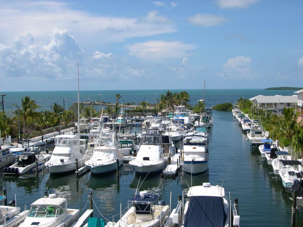 Licensed Mgr - Modern Oceanfront Condo! Beautiful Ocean Views! Beach Resort! 2 King Beds! Key Largo Dış mekan fotoğraf